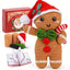 Gingerbread Man Crochet Kit For Beginners - Christmas Crochet Kits For Adults Beginners, Complete Craft Kit Crochet Starters Kit With Step-By-Step Video Tutorials